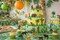 Zoo Animals 12-Pack – Mini Wild Animal Figures for Kids Safari Play, Classroom Rewards & Party Favors